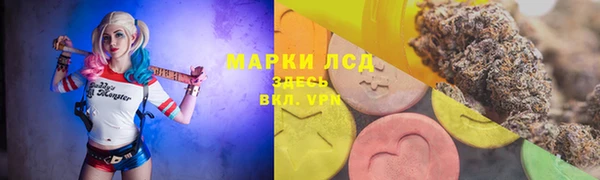 ПСИЛОЦИБИНОВЫЕ ГРИБЫ Богородск