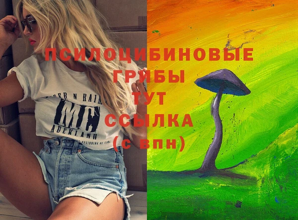 ALPHA PVP Богородицк
