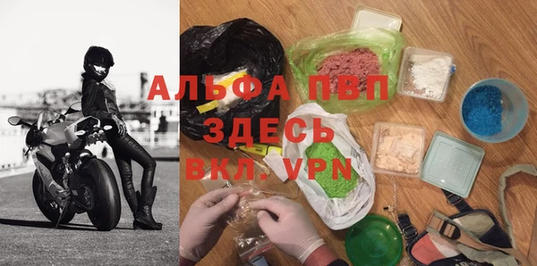 метадон Богданович