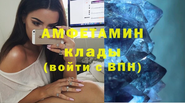 метадон Богданович
