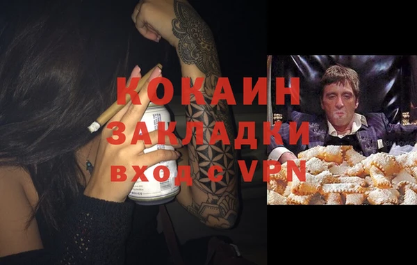 метадон Богданович