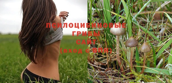 метадон Богданович