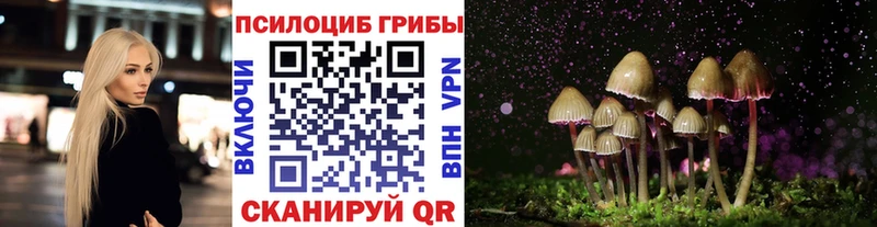 Галлюциногенные грибы мицелий  гидра ТОР  Краснообск  где можно купить наркотик 